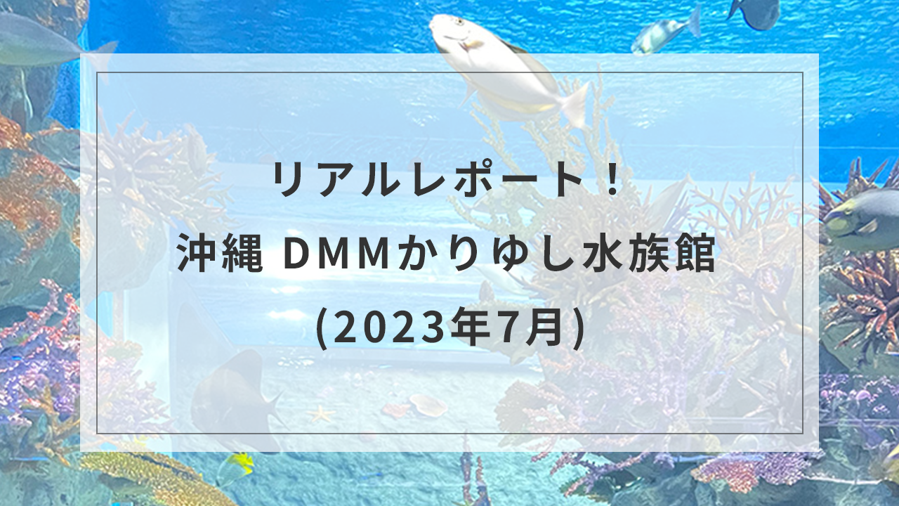 リアルレポート！沖縄 DMMかりゆし水族館 (2023年7月)